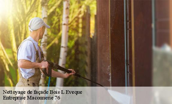 Nettoyage de façade  bois-l-eveque-76160 Entreprise Maconnerie 76