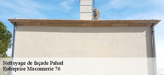 Nettoyage de façade 76450