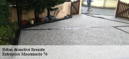 Béton désactivé  76110