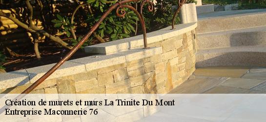 Création de murets et murs  76170